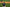 Baseball Pitcher's Pocket