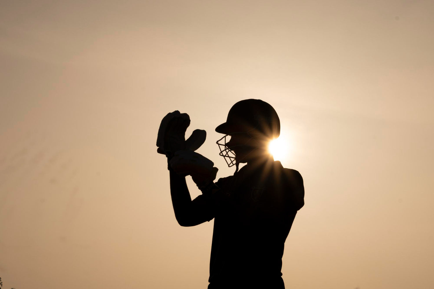 baseball pitcher