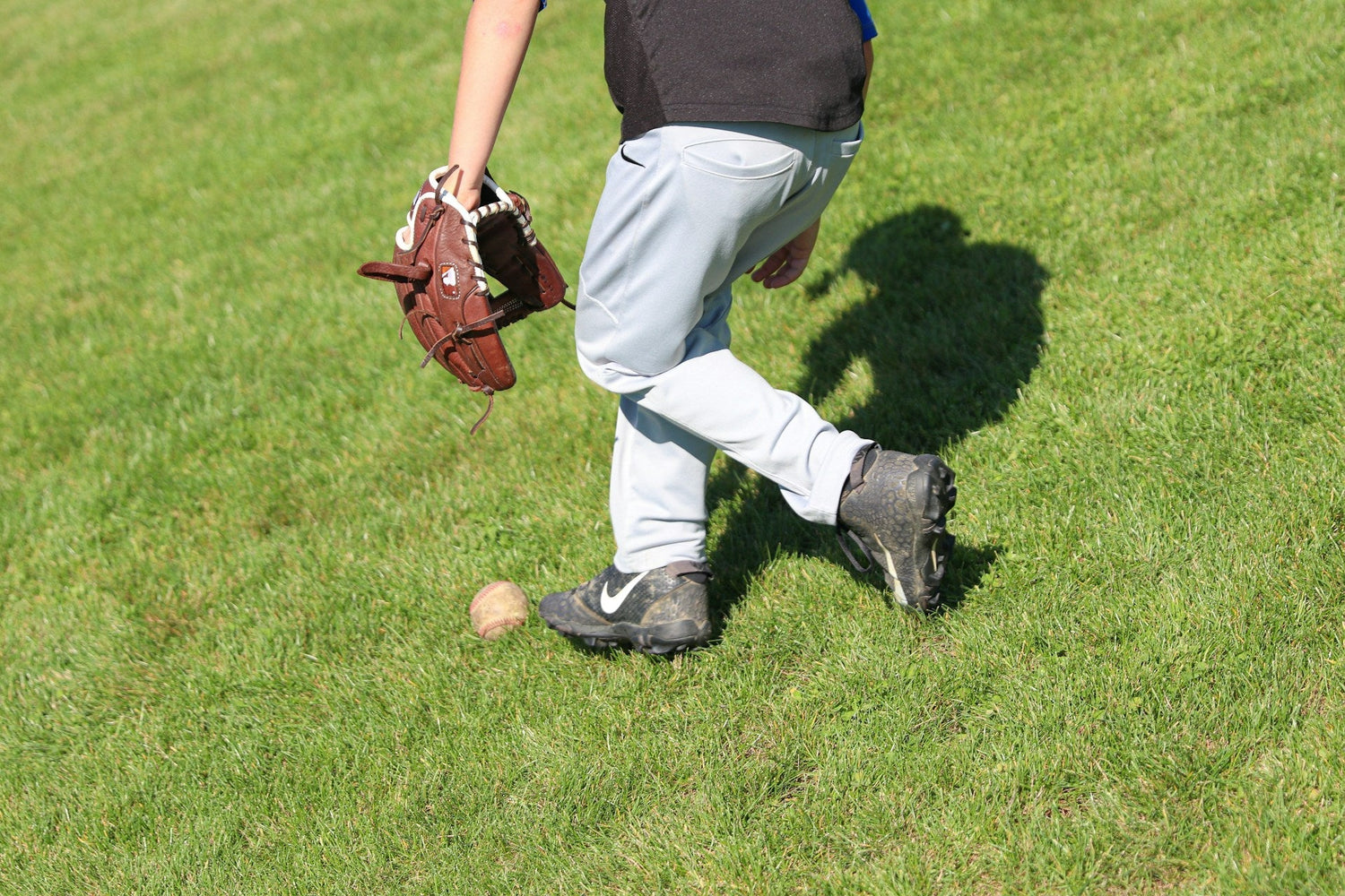  Pocket Pitcher 