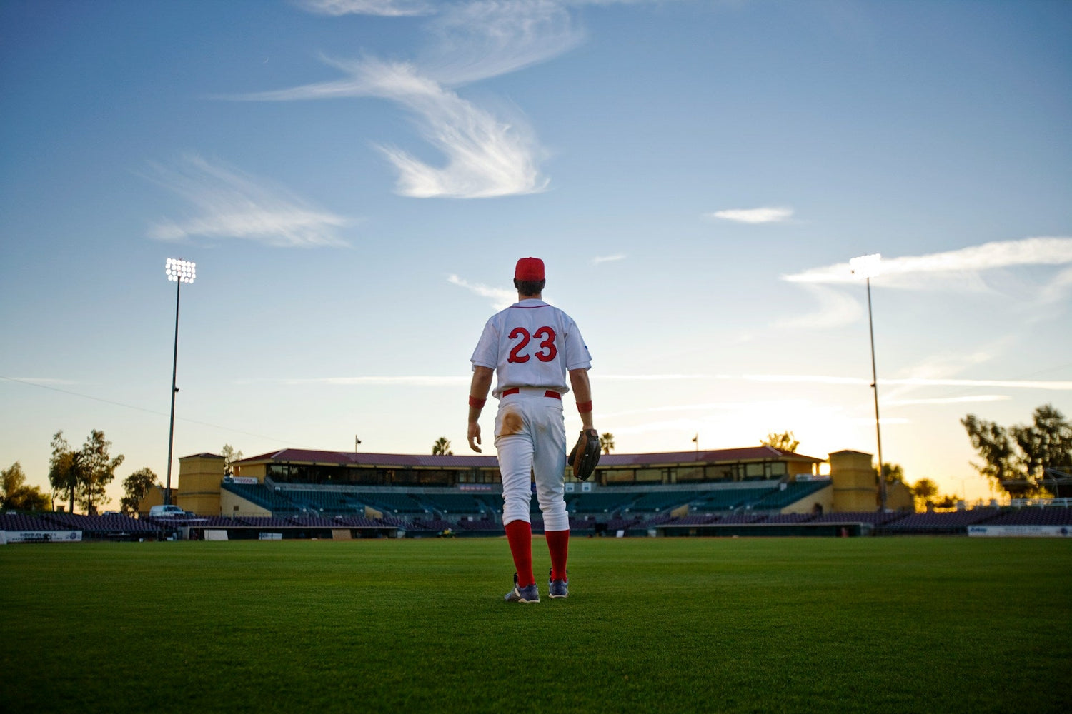 Baseball Training