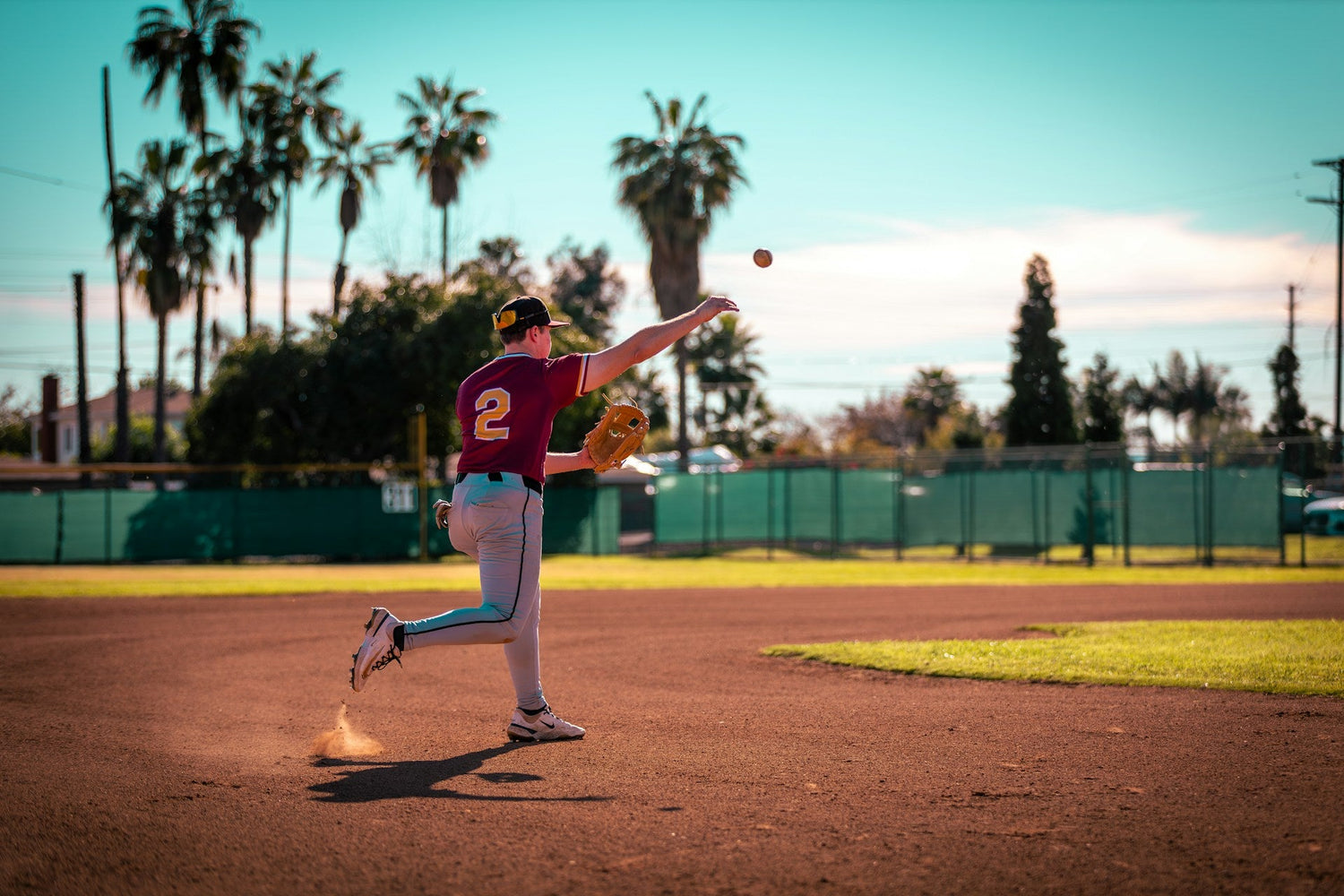 Baseball Training