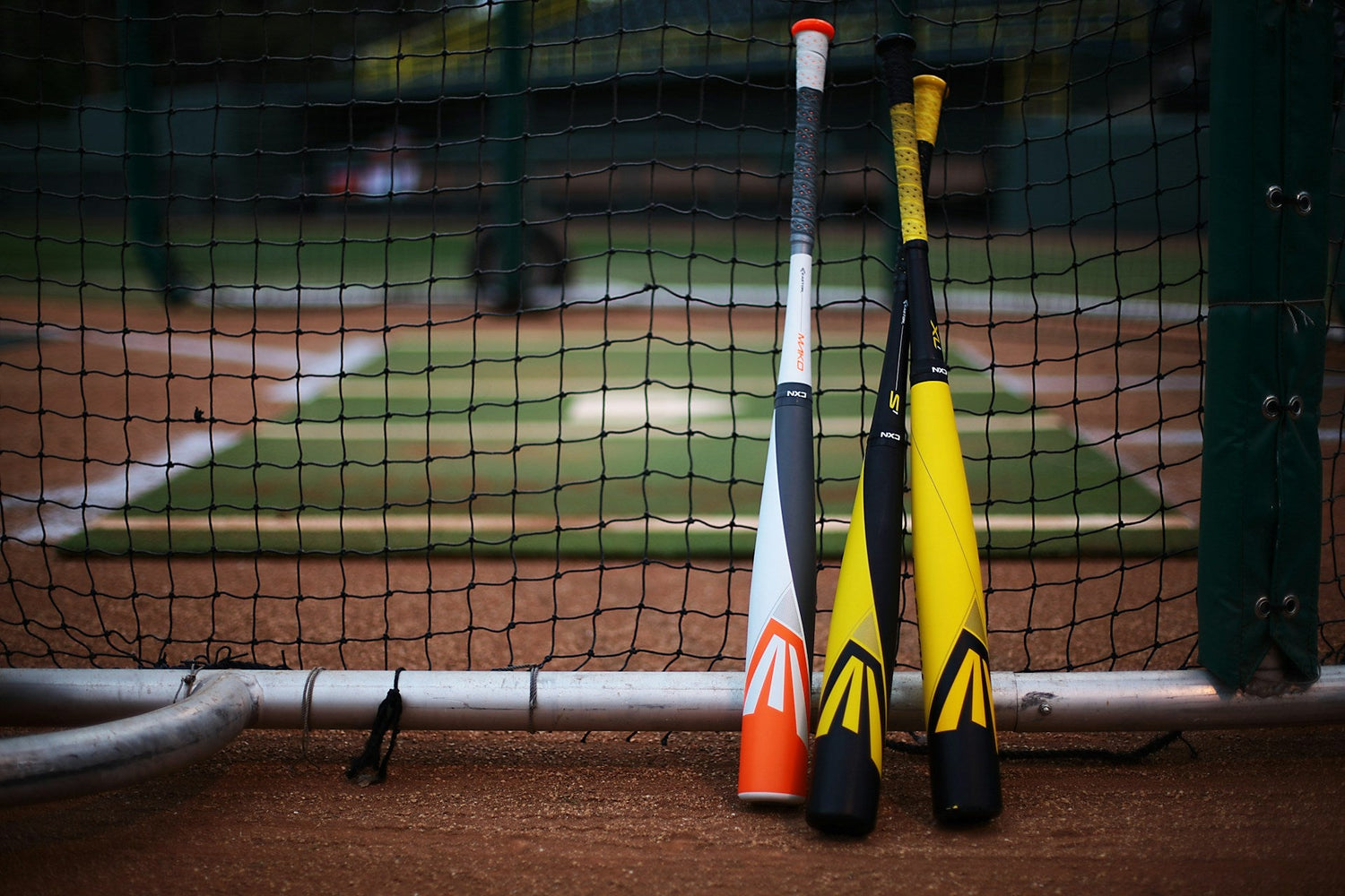 Baseball Tool Rusts
