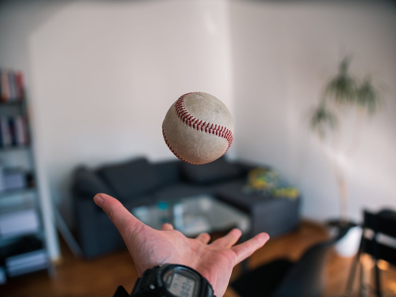 baseball