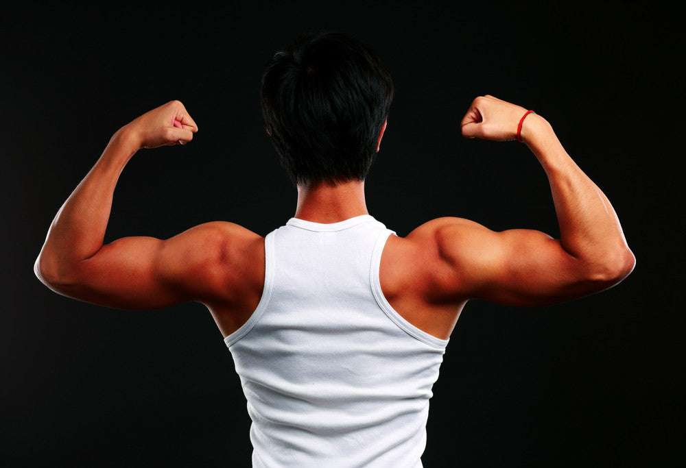 How Pitching Engages Your Muscles